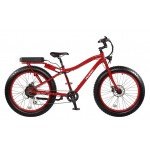 E-Bikes & Pedelecs in Peine (Kolberger Straße 2a)