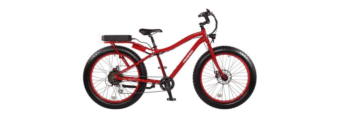 Gewechse Ebike